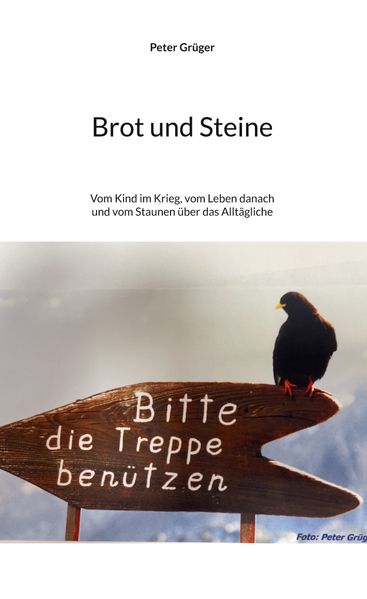 Cover von Brot und Steine