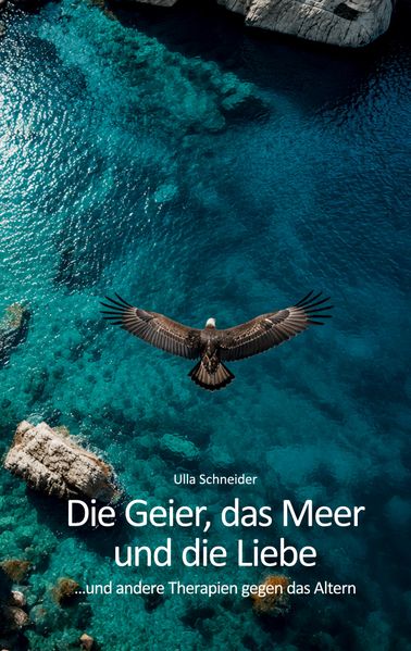 Cover von Die Geier, das Meer und die Liebe