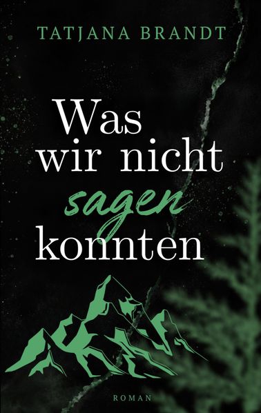 Cover von Was wir nicht sagen konnten