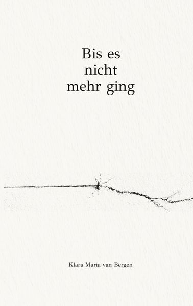 Cover von Bis es nicht mehr ging