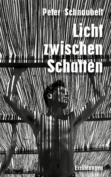 Cover von Licht zwischen Schatten