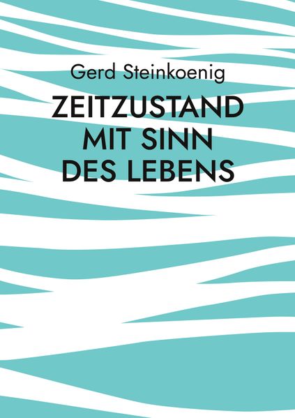 Cover von Zeitzustand mit Sinn des Lebens