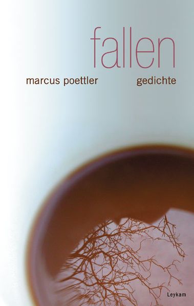 Cover von fallen