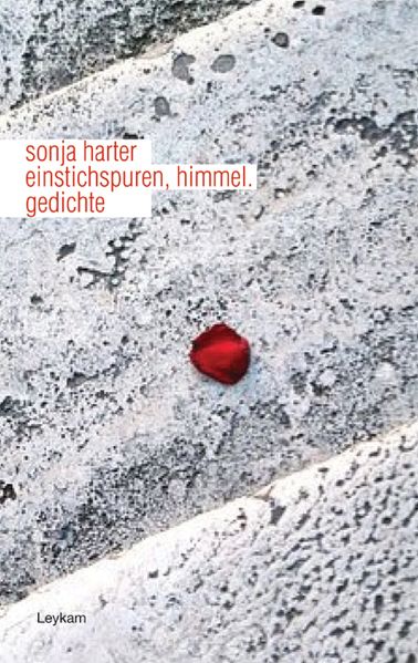Cover von einstichspuren, himmel.