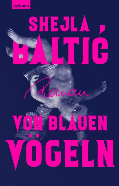 Cover von Von blauen Vögeln