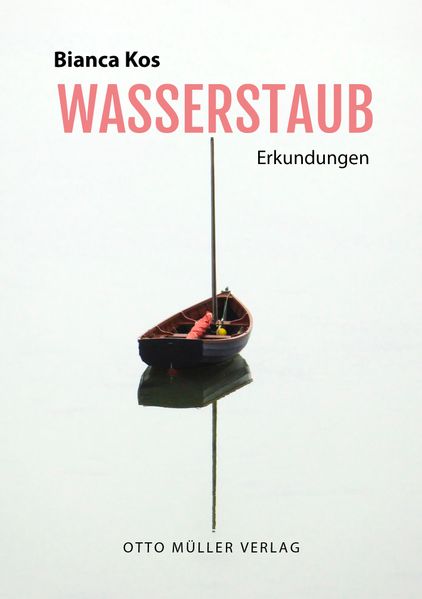 Cover von Wasserstaub