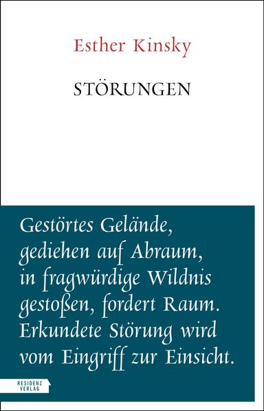 Cover von Störungen