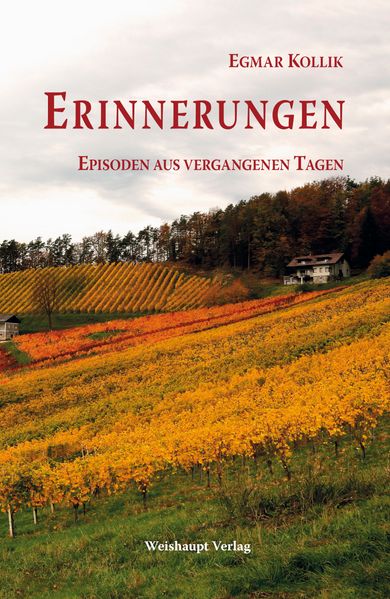 Cover von Erinnerungen