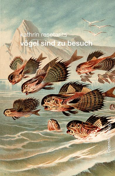 Cover von Vögel sind zu Besuch