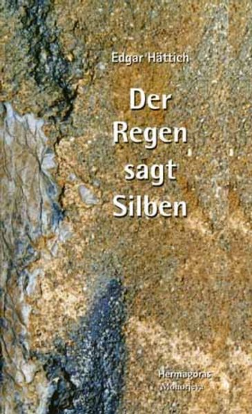 Cover von Der Regen sagt Silben