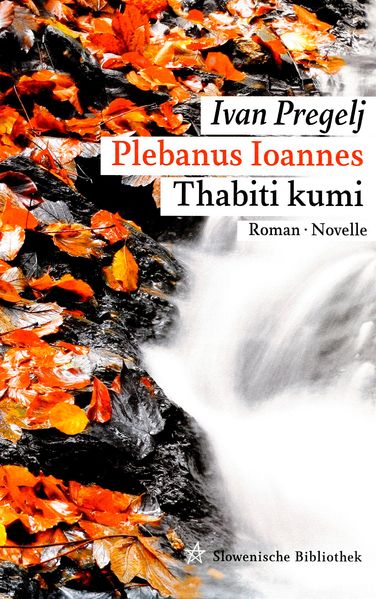 Cover von Plebanus Ioannes