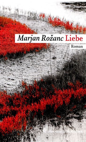 Cover von Liebe