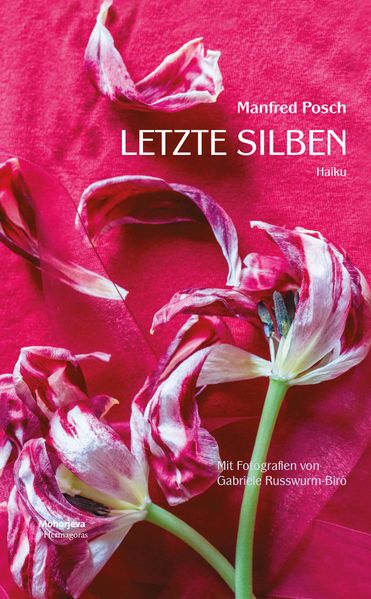 Cover von Letzte Silben