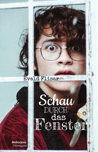 Cover von Schau durch das Fenster