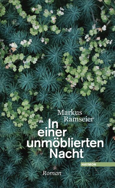 Cover von In einer unmöblierten Nacht