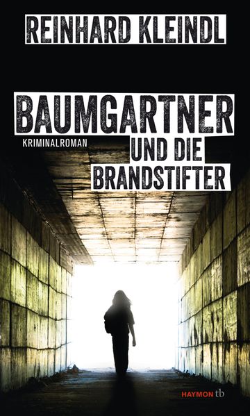 Cover von Baumgartner und die Brandstifter