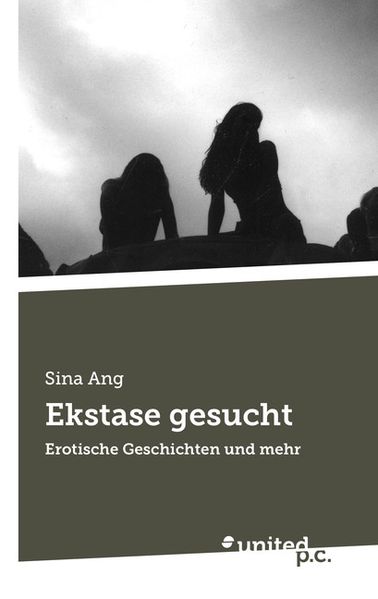 Cover von Ekstase gesucht