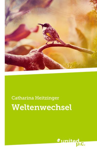 Cover von Weltenwechsel