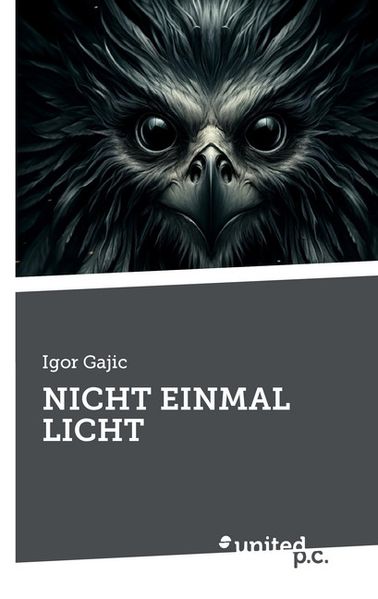 Cover von NICHT EINMAL LICHT