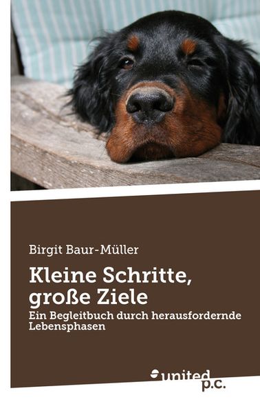 Cover von Kleine Schritte, große Ziele