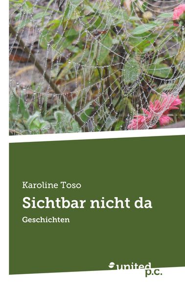 Cover von Sichtbar nicht da
