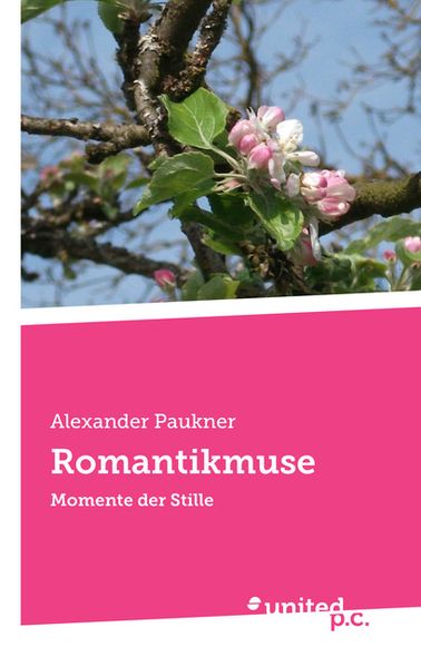 Cover von Romantikmuse
