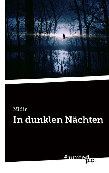 Cover von In dunklen Nächten