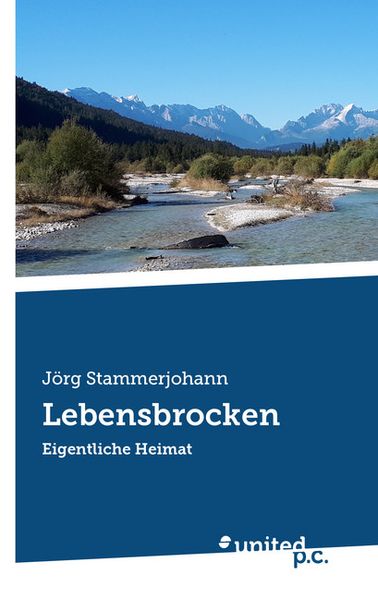 Cover von Lebensbrocken