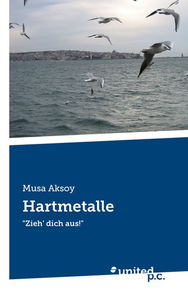 Cover von Hartmetalle