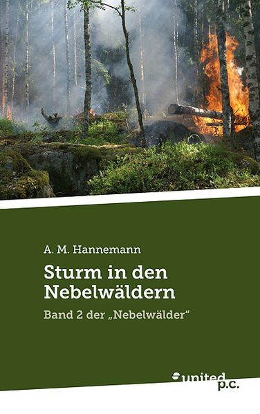 Cover von Sturm in den Nebelwäldern