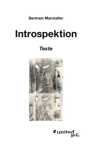 Cover von Introspektion