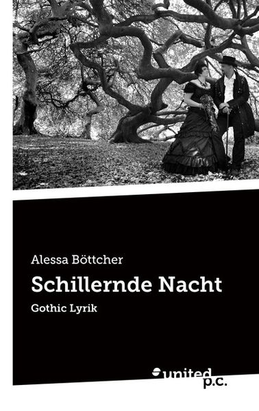 Cover von Schillernde Nacht