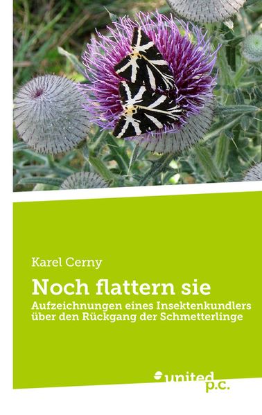 Cover von Noch flattern sie
