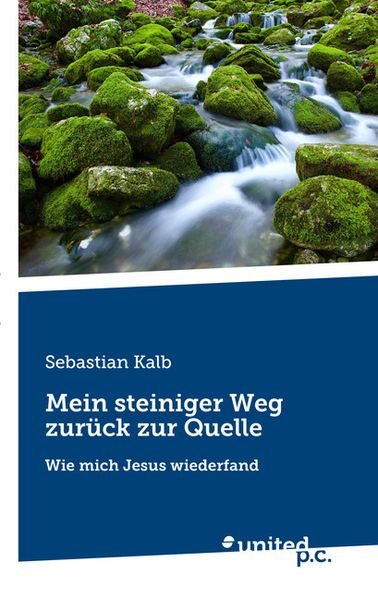 Cover von Mein steiniger Weg zurück zur Quelle