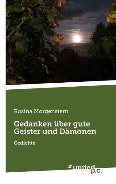 Cover von Gedanken über gute Geister und Dämonen