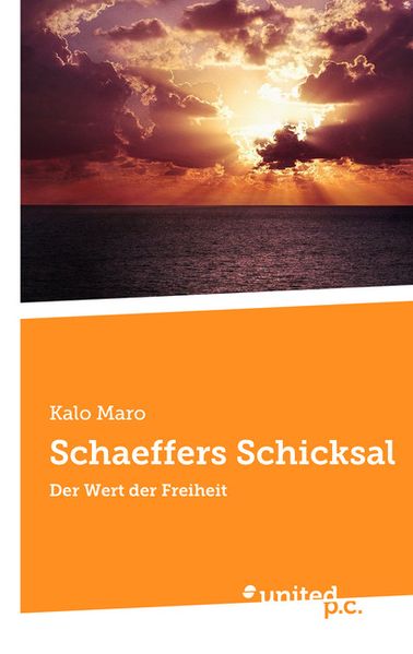 Cover von Schaeffers Schicksal