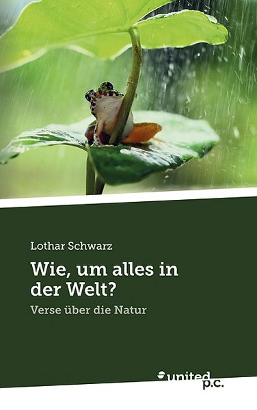 Cover von Wie, um alles in der Welt?