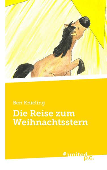 Cover von Die Reise zum Weihnachtsstern