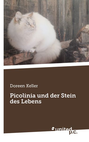 Cover von Picolinia und der Stein des Lebens