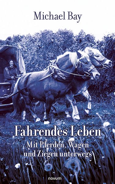 Cover von Fahrendes Leben