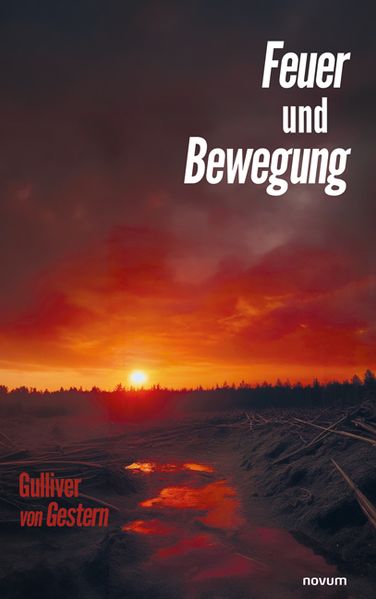 Cover von Feuer und Bewegung