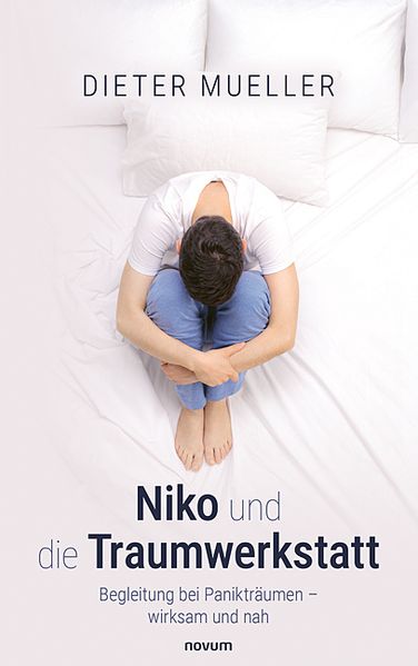 Cover von Niko und die Traumwerkstatt
