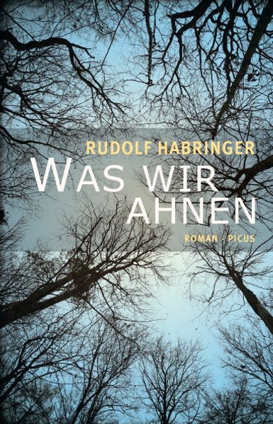 Cover von Was wir ahnen