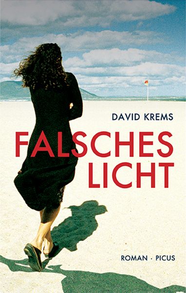 Cover von Falsches Licht
