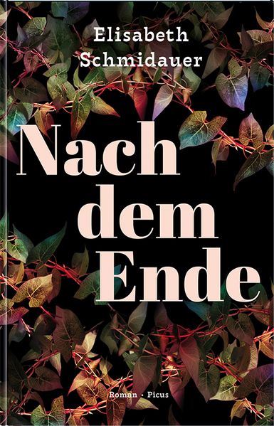 Cover von Nach dem Ende