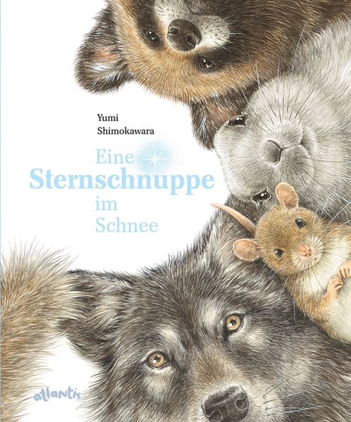 Cover von Eine Sternschnuppe im Schnee
