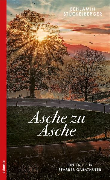 Cover von Asche zu Asche