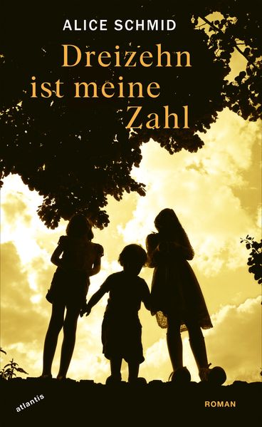Cover von Dreizehn ist meine Zahl