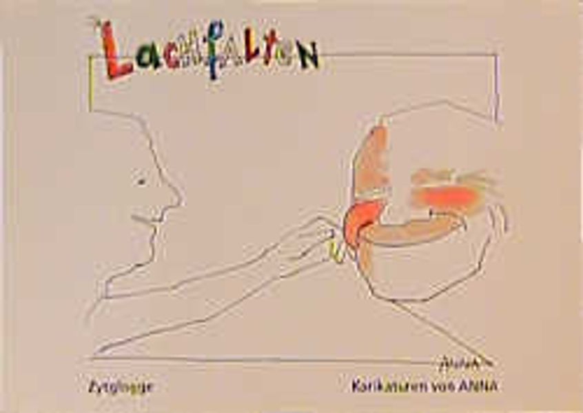 Cover von Lachfalten