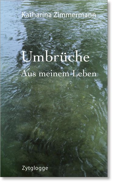Cover von Umbrüche
